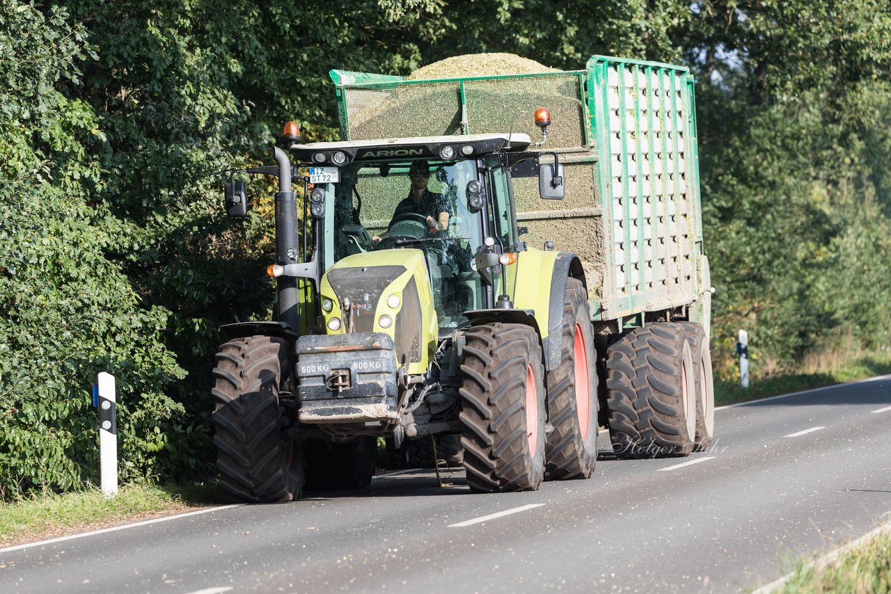 Bild 169 - Maisernte